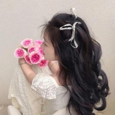 汽车女窃贼