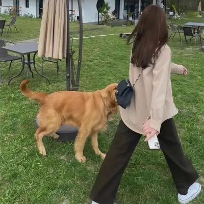 弗林
